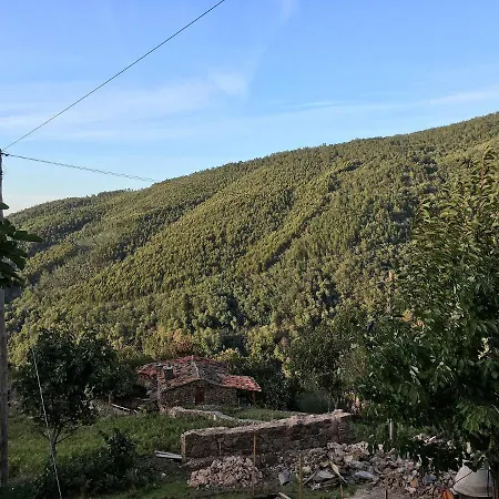 Casa Dos Livros Сasa de vacaciones Talasnal