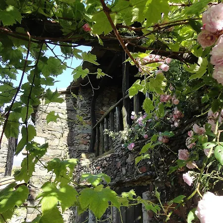 Holiday home Casa Dos Livros Talasnal