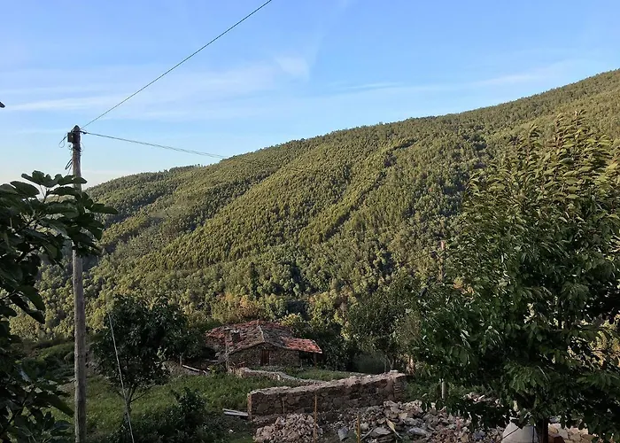 Casa Dos Livros Feriehus Talasnal